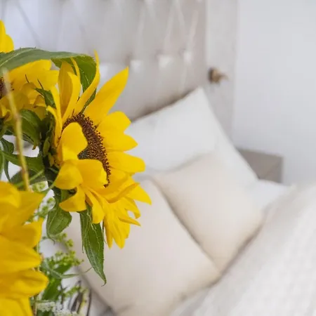 בית הארחה Casa Perla Dunajská Streda