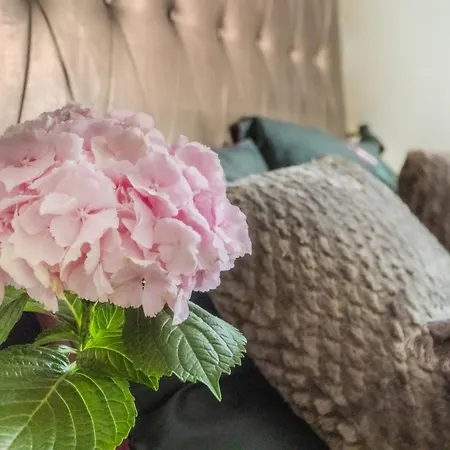 Casa Perla בית הארחה Dunajská Streda