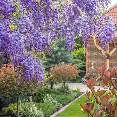 בית הארחה Casa Perla 3*