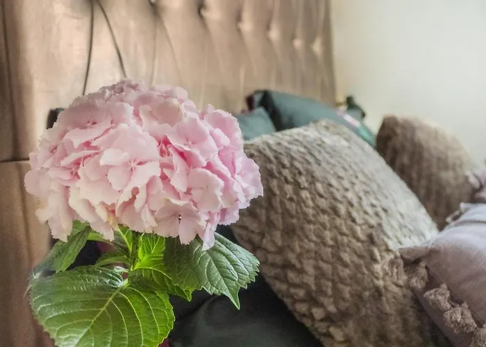 Casa Perla Gasthof Dunajská Streda